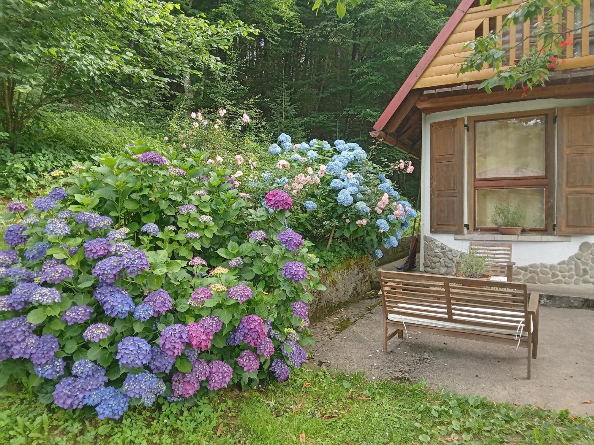 Holiday Home Vesna Brod na Kupi Exterior foto