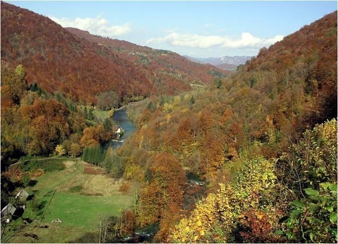 Holiday Home Vesna Brod na Kupi Exterior foto