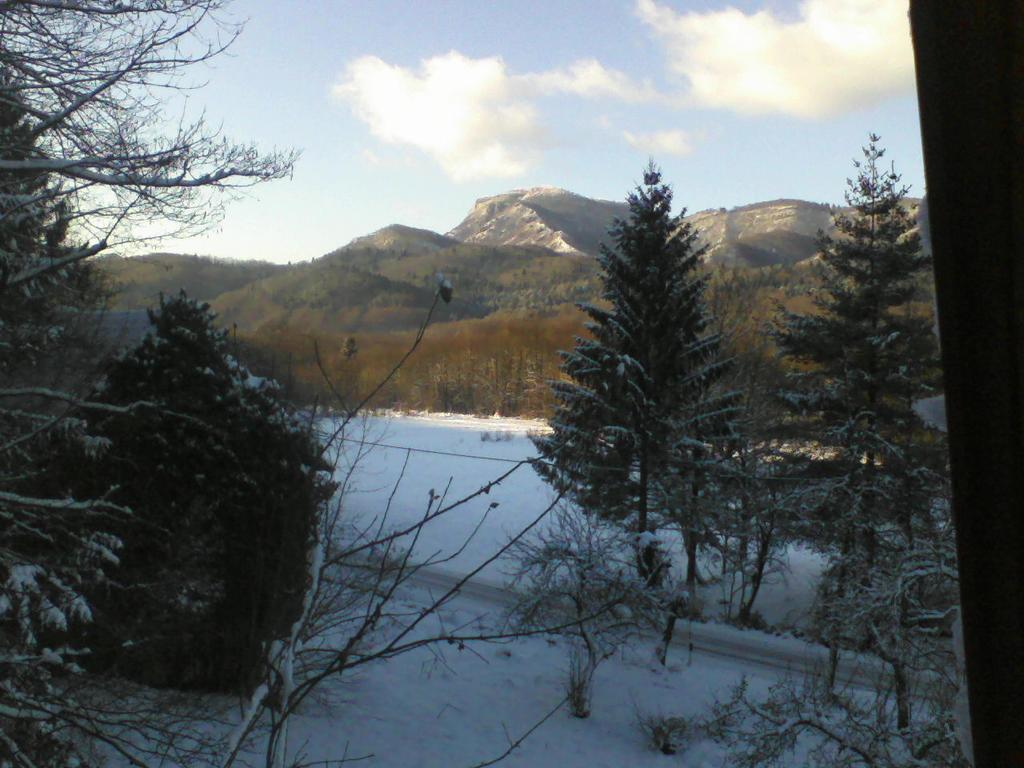 Holiday Home Vesna Brod na Kupi Exterior foto