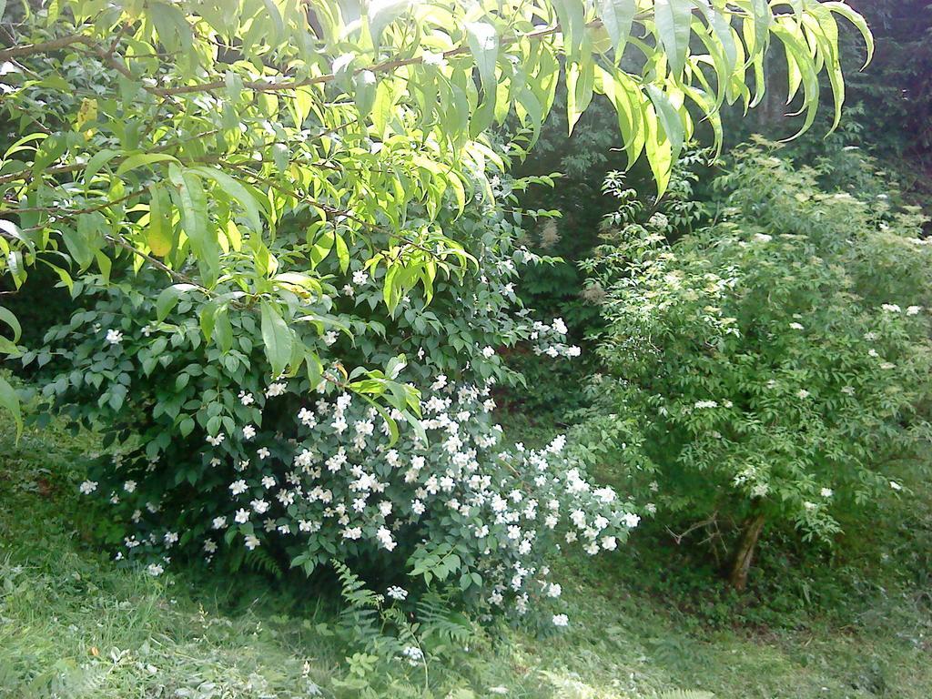 Holiday Home Vesna Brod na Kupi Zimmer foto